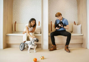 Pet-Care-Facility-noise-control