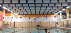 Sonex-Valueline-Ceiling-Baffles-Memtech-Acoustical-hpic