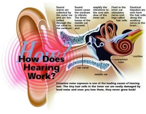 Psychoacoustics